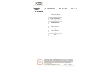 環(huán)保測試報告 SVHC CANEC25009119801