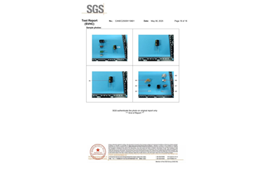 環(huán)保測試報告 SVHC CANEC25009119801